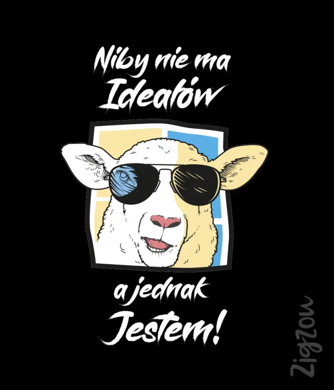 nadruk na t-shirt - niby nie ma ideałów a jednak jestem