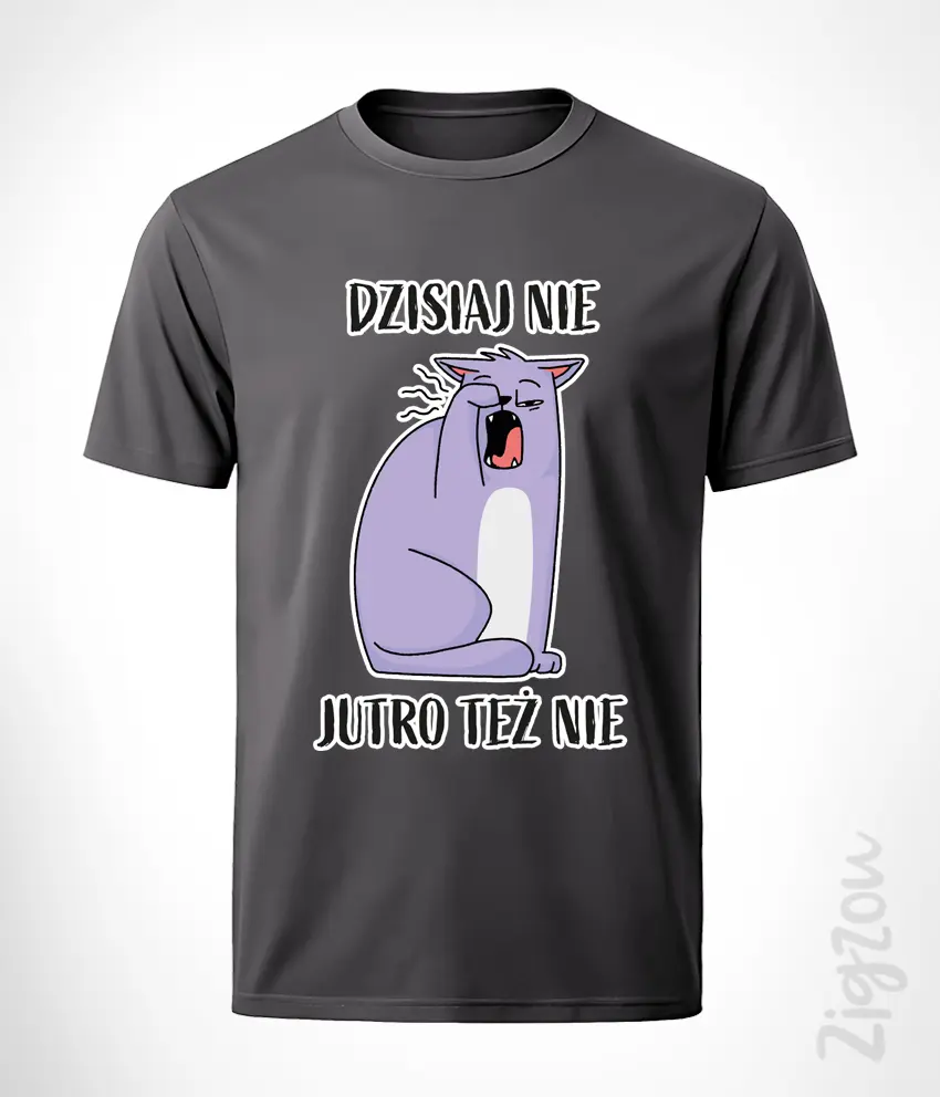 FUN-038-M grafit Dzisiaj nie, jutro też nie - koszulka męska z dowolnym nadrukiem online