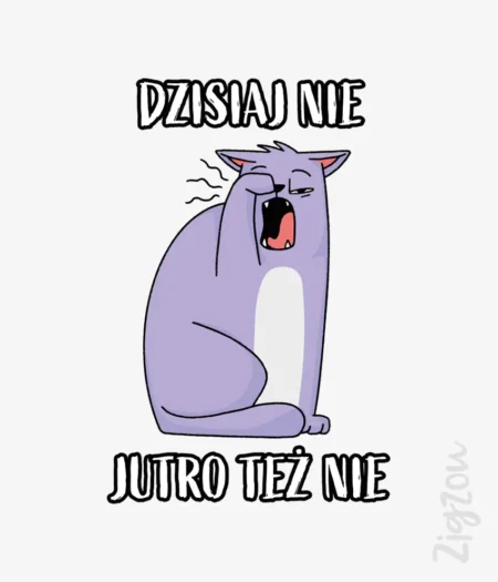 Dzisiaj nie, jutro też nie - nadruk na t-shirt